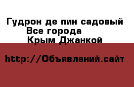 Гудрон де пин садовый - Все города  »    . Крым,Джанкой